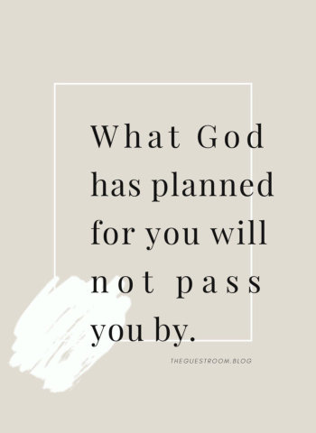"What God has planned for you will not pass you by." (From Lauren Carter @laurennoelcarter and TheGuestRoom.blog)